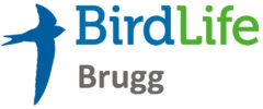 BirdLife Brugg